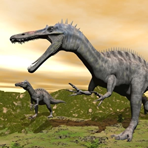 Two Suchomimus dinosaurs running