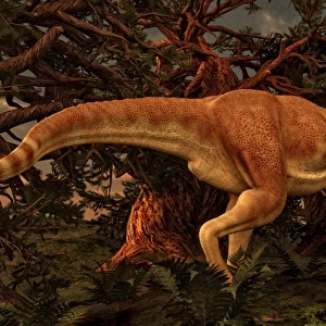 Tarbosaurus was a theropod dinosaur from the Late Cretaceous period