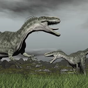 A territorial dispute between two Monolophosaurus dinosaurs