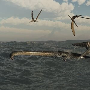 Tylosaurus attacks a Styxosaurus in Cetaceous waters