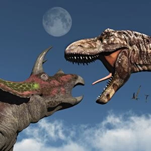 Tyrannosaurus rex confronting a Triceratops