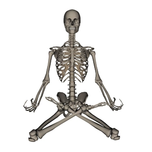 Front view of human skeleton meditation