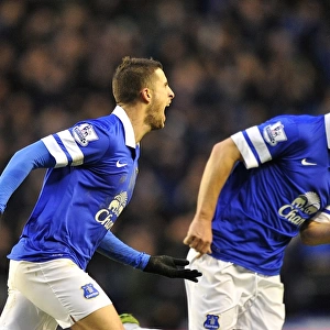 Mirallas and Barry: Everton's Unforgettable Goal Celebration (2-1 vs Aston Villa, Goodison Park, 01-02-2014)