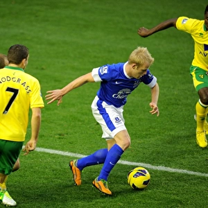 Everton 1 v Norwich City 1 : Goodison Park : 24-11-2012
