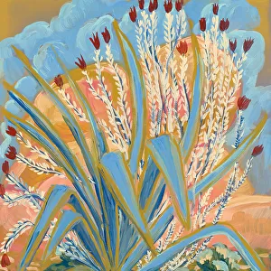 Agave Plant Print