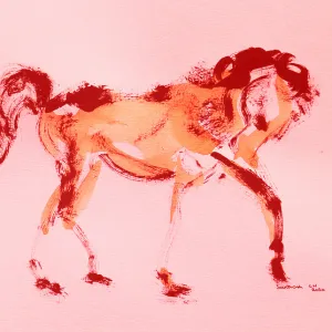 Animals153