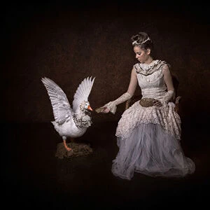 Fairytale of Goose and the princess