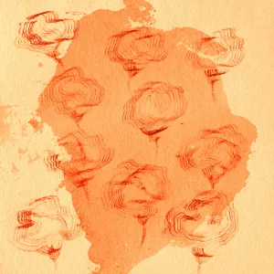 Flower Pattrens 43