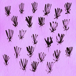Flower Pattrens 51