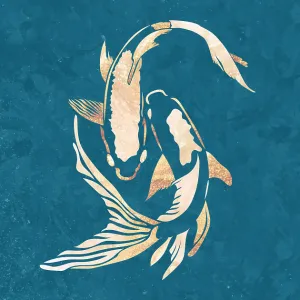 Koi