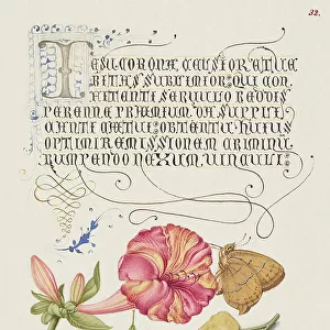 Mira Calligraphiae Monumenta