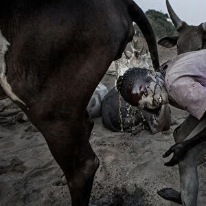 Mundari tribe child cleaning his head with cow urine - South Sudan