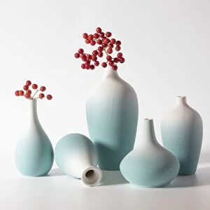Red currant berries & Vases
