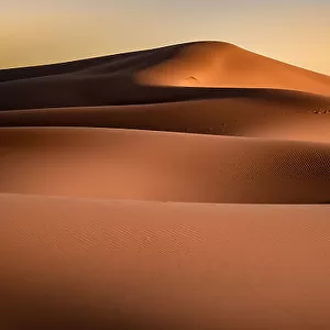 Saharan Curves