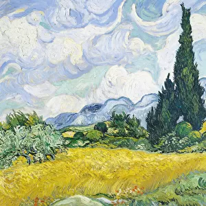 Wheat Field With Cypresses