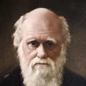 1881 portrait of Charles Robert Darwin
