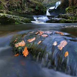 Sgwd Isaf Clun-gwyn waterfall and rapids print Sgwd Isaf Clun-gwyn waterfall and rapids print