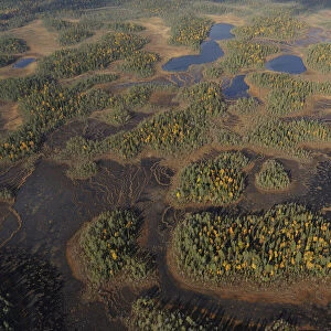 Aerial view of Peat bog, Oulanka National Park, Finland, September 2008