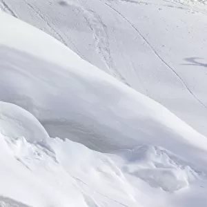 Alpine ibex (Capra ibex) struggling in deep snow on a steep slope, Valsavarenche