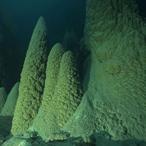 Anhumas Abyss, a 72 meters deep cave with underwater limestone cones up to 20 meters high