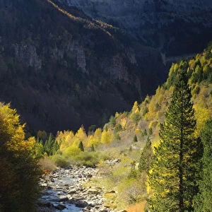 Arazas river in Ordesa y Monte Perdido National Park, Pyrenees, Aragon, Spain