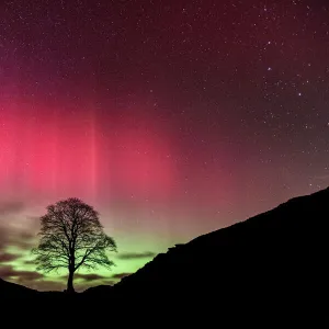 Hadrian's Wall