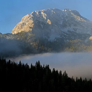 Big Bear peak with morning mist over forest, Durmitor NP, Montenegro, October 2008