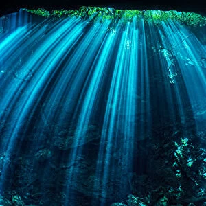 Diver exploring a freshwater cenote (or limestone sinkhole