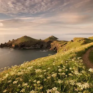 Print of The Rumps at Pentire Head, Polzeath, Cornwall Print of The Rumps at Pentire Head, Polzeath, Cornwall