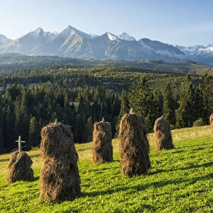 Haystacks in front of the Tatra Mountains, Poland, September 2014