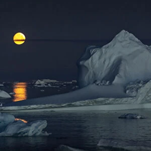 Icebergs and a full moon, Thule, North Greenland. September 2019