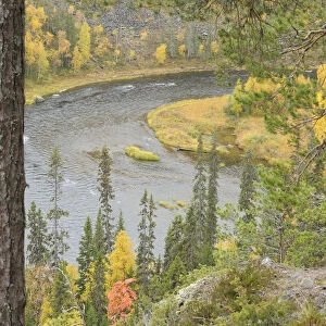 Kitkajoki River, Oulanka National Park, Finland, September 2008