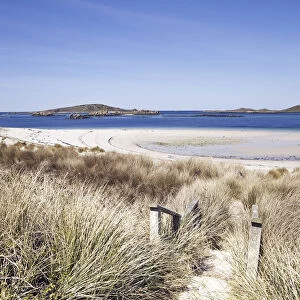 Path leading down to Blockhouse Beach, Tresco, Isles of Scilly, Cornwall, England