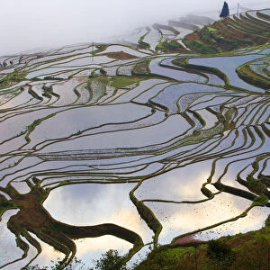 China Heritage Sites Collection: Cultural Landscape of Honghe Hani Rice Terraces