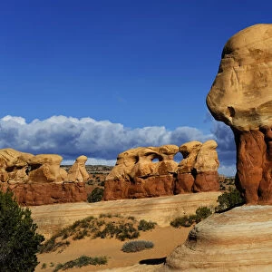 Rock formation caused by erosion in sandstone, Devils Garden, Grand Staircase-Escalante