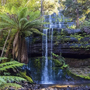Russel Falls, Mt Field National Park, Tasmania, Australia. April, 2016