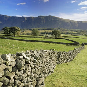 Stone walls boundaries on farmland with Whin Rigg in background, Wastwater Lake