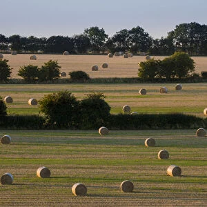 Straw bales after harvest in late summer Cotswold landscape, Hawkesbury Upton, Gloucestershire