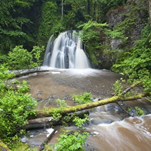 View of a waterfall with a fallen tree in the foreground, Fairy Glen RSPB reserve