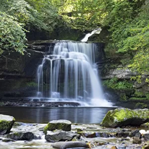 Walden Beck waterfall in woodland, West Burton, Yorkshire Dales National Park, England