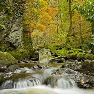 Water running over rocks, Lodore Falls, with autumnal trees in the background, Lake District