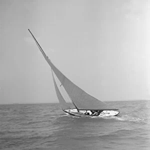 The 6 Metre class The Whim sailing upwind, 1911. Creator: Kirk & Sons of Cowes