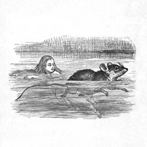 Alice swimming with a mouse in a pool, 1889. Artist: John Tenniel