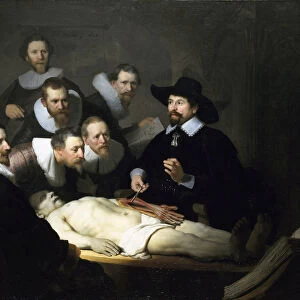 Artists Collection: Rembrandt van Rhijn