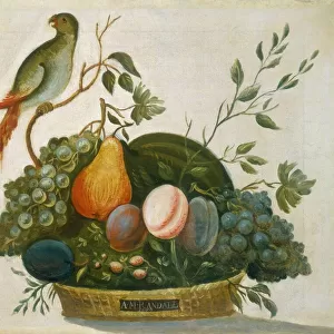 Basket of Fruit with Parrot, 1777. Creator: A. M. Randall