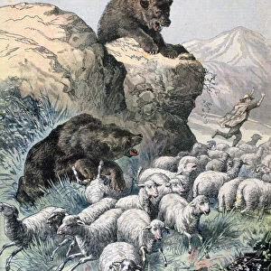 Bears of the Cagyre, 1891. Artist: F Meaulle