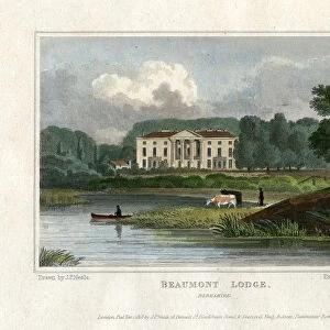 Berkshire Collection: Beaumont