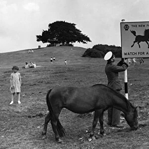 Beware of animals a road sign in Lyndhurst, New Forest 1955. Creator: Unknown