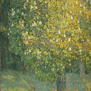 Blooming Chestnut Tree. Artist: Golovin, Alexander Yakovlevich (1863-1930)