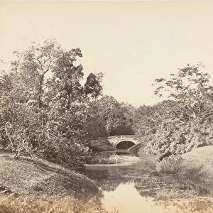 Botanical Gardens, Calcutta, 1850s. Creator: Captain R. B. Hill